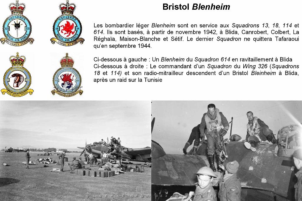64-2nde Guerre Mondiale (11)_000008.jpg